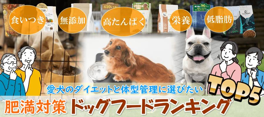 【体型維持（肥満対策）】低カロリー・高タンパクのドッグフードおすすめランキング